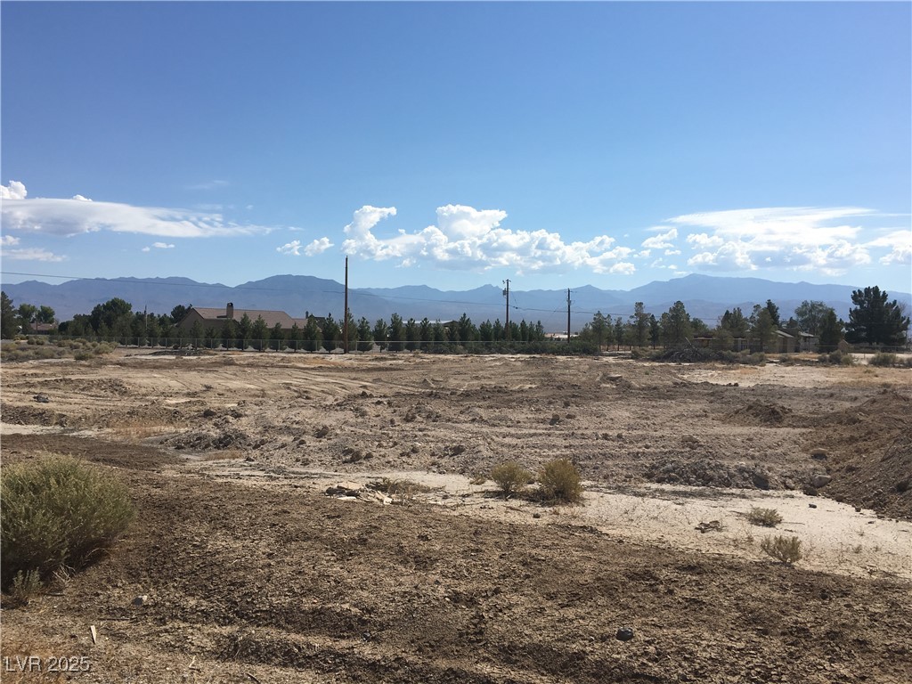 2241 South Toiyabe Avenue Pahrump NV 89048