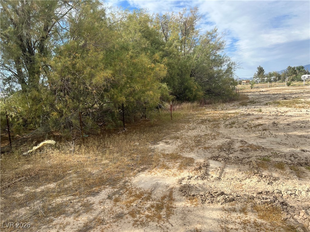 160 South Leslie Street Pahrump NV 89048