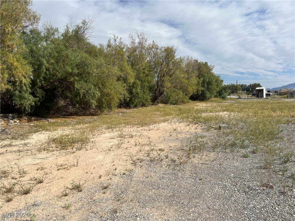160 South Leslie Street Pahrump NV 89048