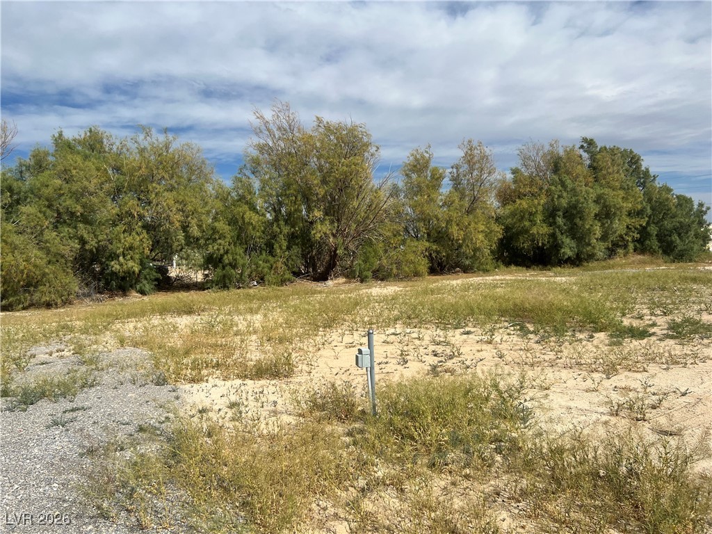 160 South Leslie Street Pahrump NV 89048