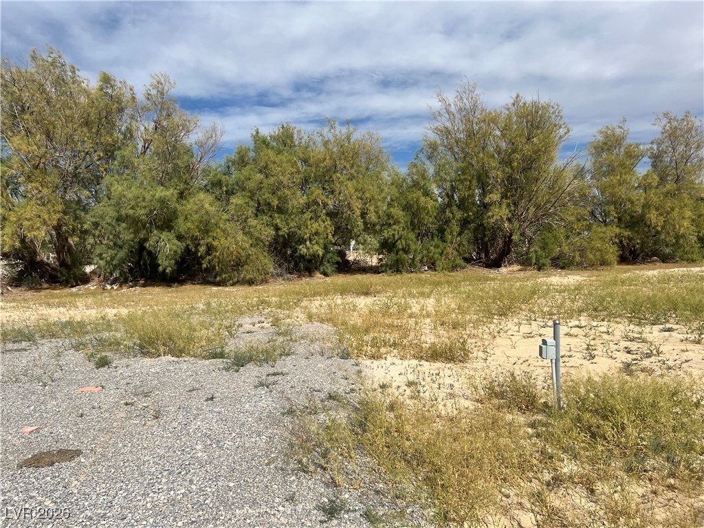 160 South Leslie Street Pahrump NV 89048