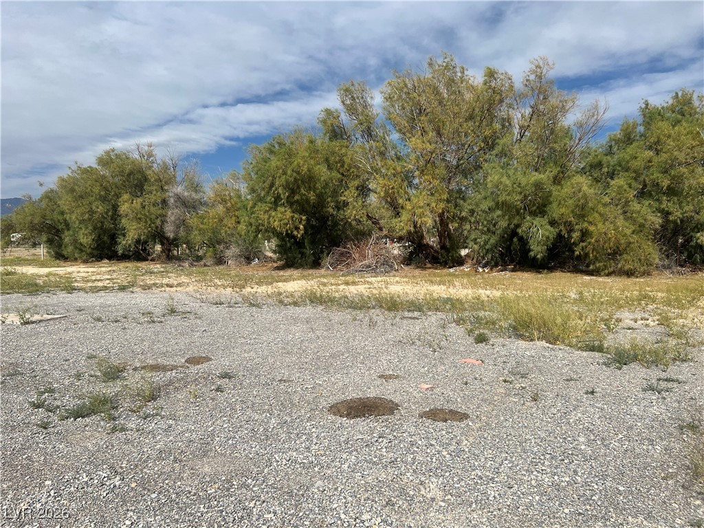 160 South Leslie Street Pahrump NV 89048