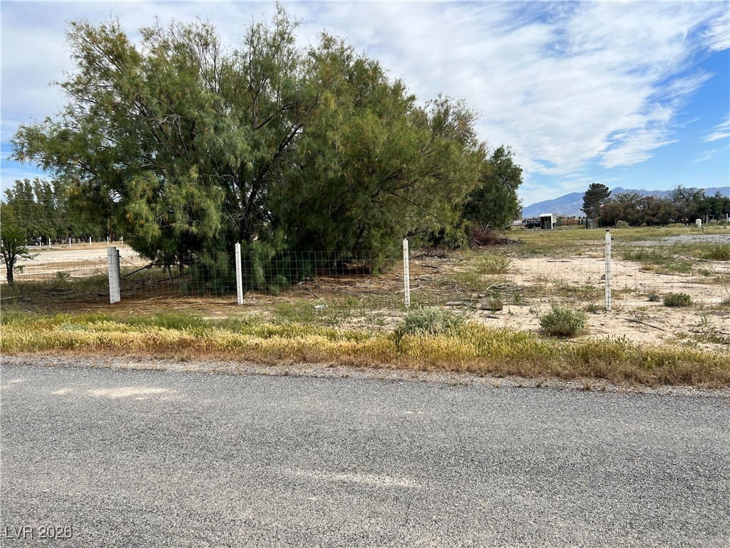 160 South Leslie Street Pahrump NV 89048