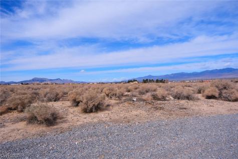 2471 Mandy Pahrump NV 89048