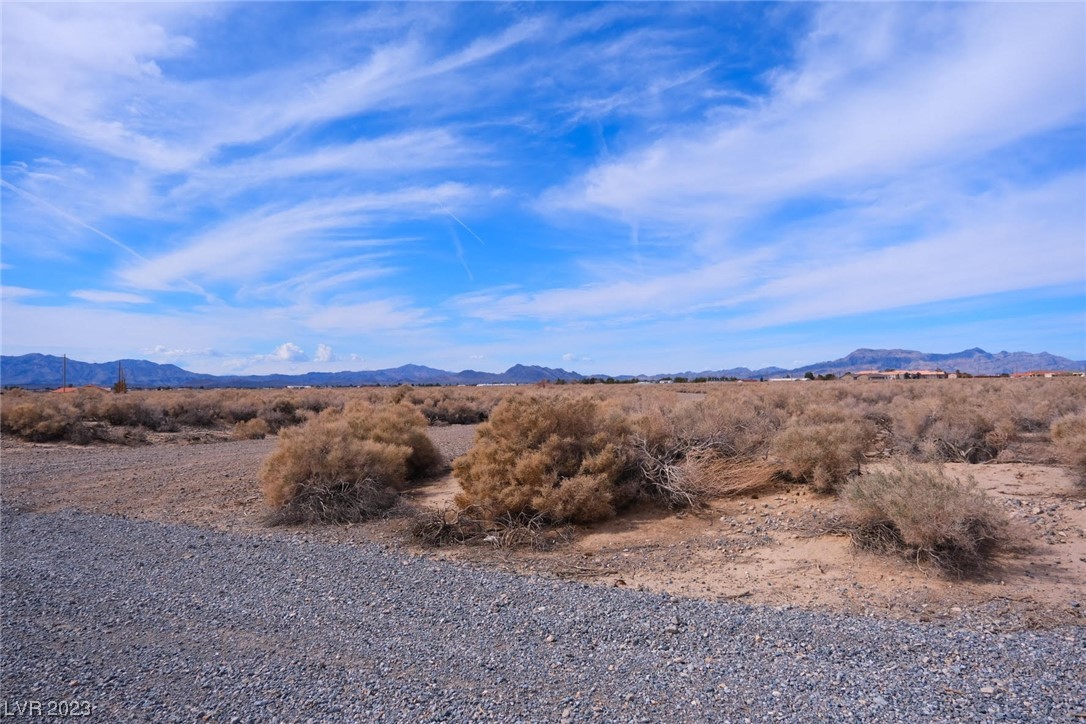 2471 Mandy Pahrump NV 89048