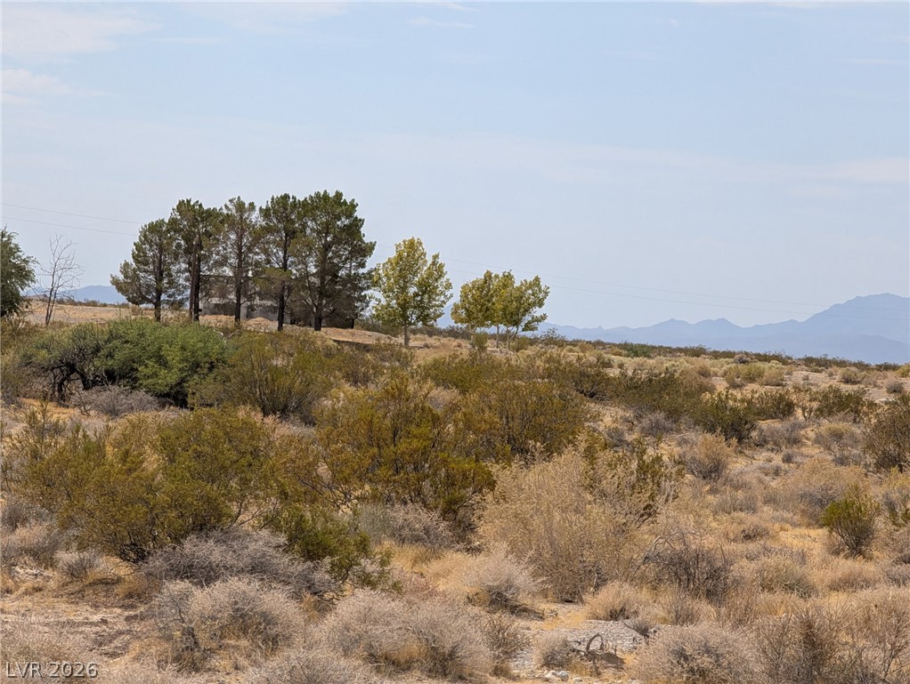 5401 East Turner Boulevard Pahrump NV 89061