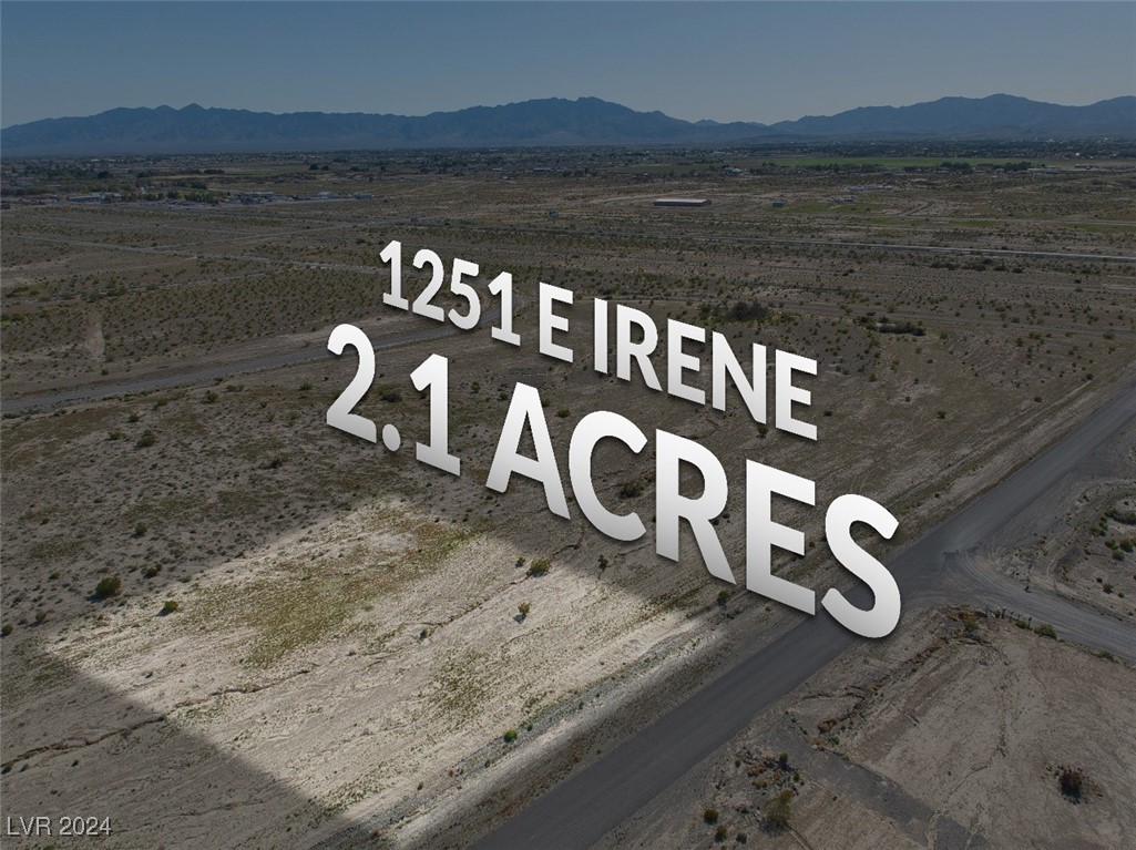 1251 East Irene Street Pahrump NV 89060