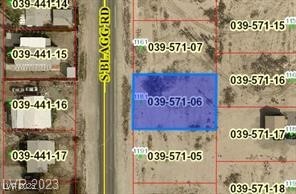 1181 South Blagg Road Pahrump NV 89048