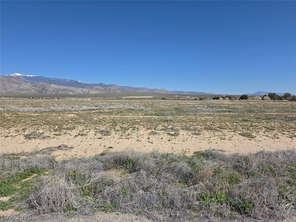 4181 South Fox Avenue Pahrump NV 89048