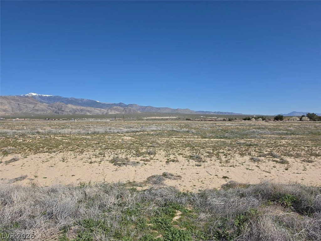 4181 South Fox Avenue Pahrump NV 89048