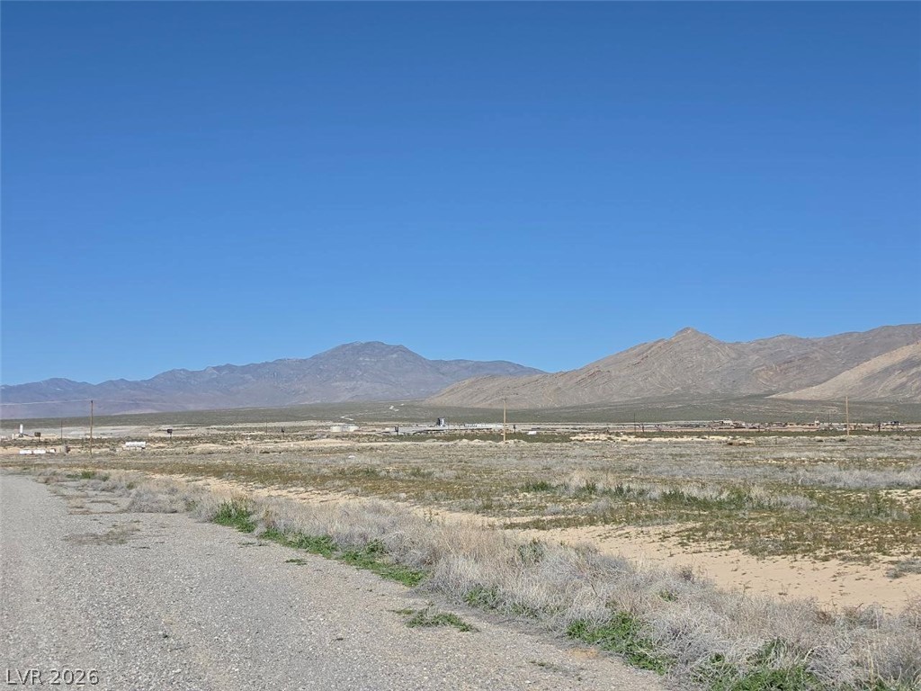 4181 South Fox Avenue Pahrump NV 89048