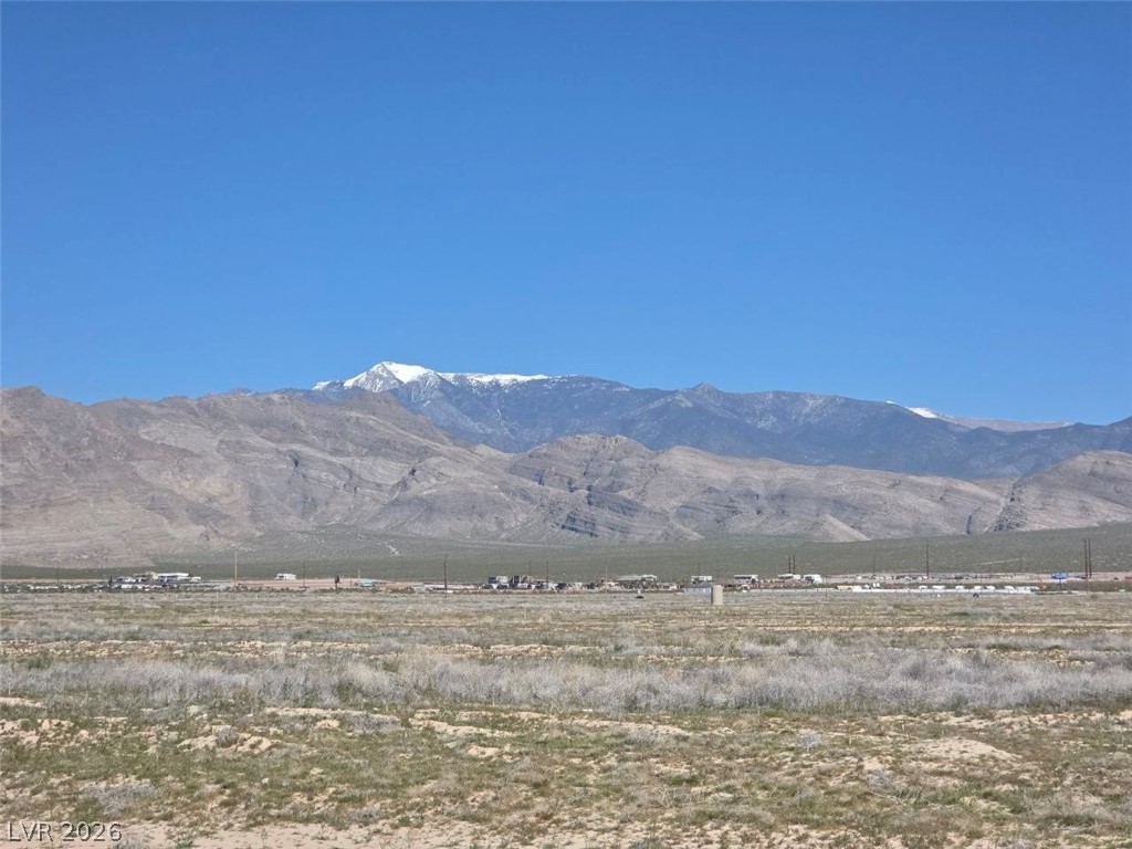 4181 South Fox Avenue Pahrump NV 89048