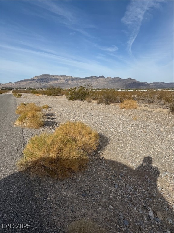 2660 Latigo Pahrump NV 89060