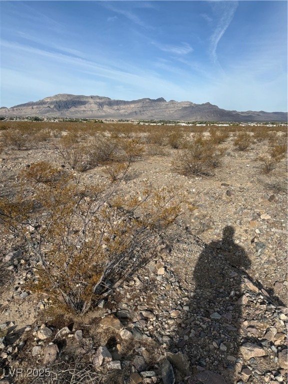 2660 Latigo Pahrump NV 89060