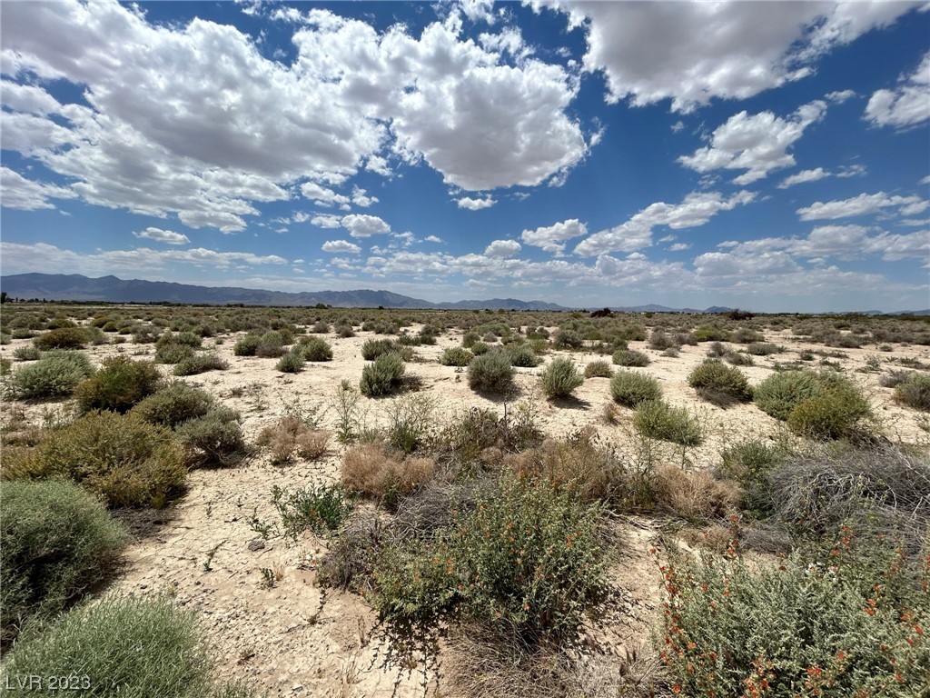 3920 South Fuller Avenue Pahrump NV 89048