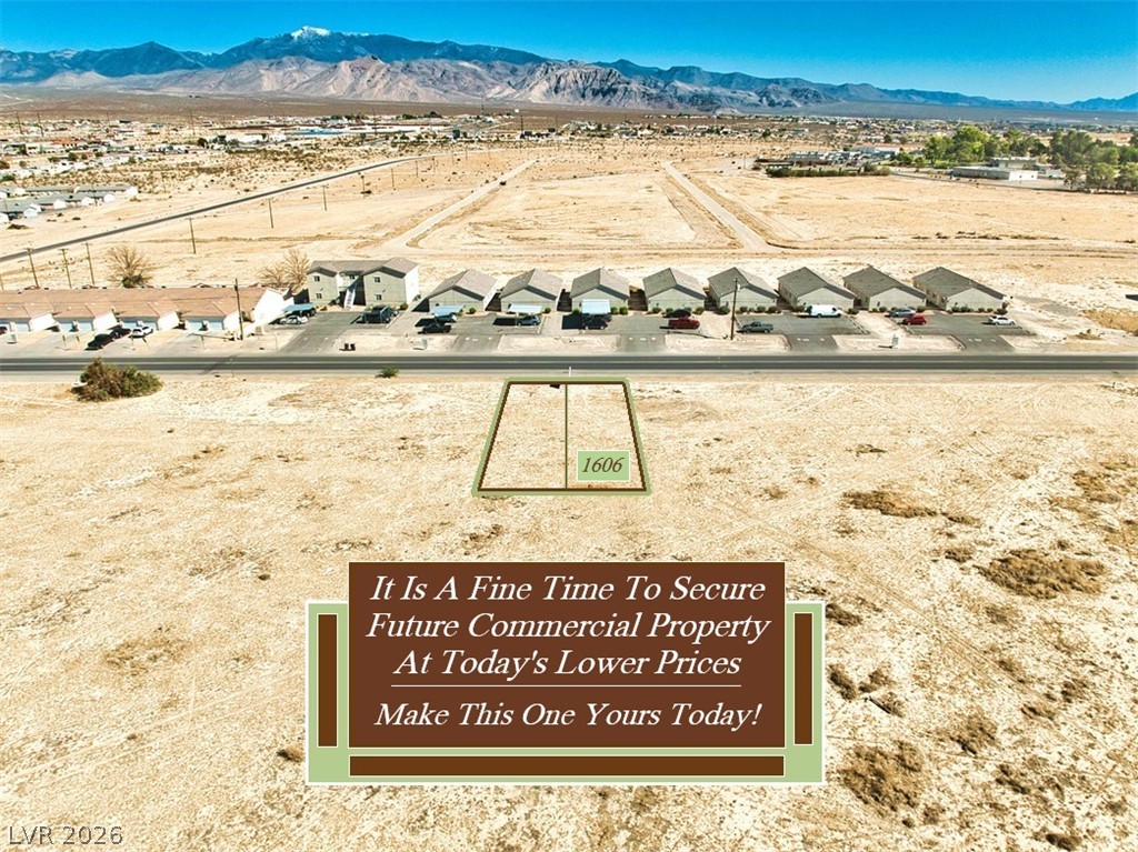 1606 South Dandelion Street Pahrump NV 89048
