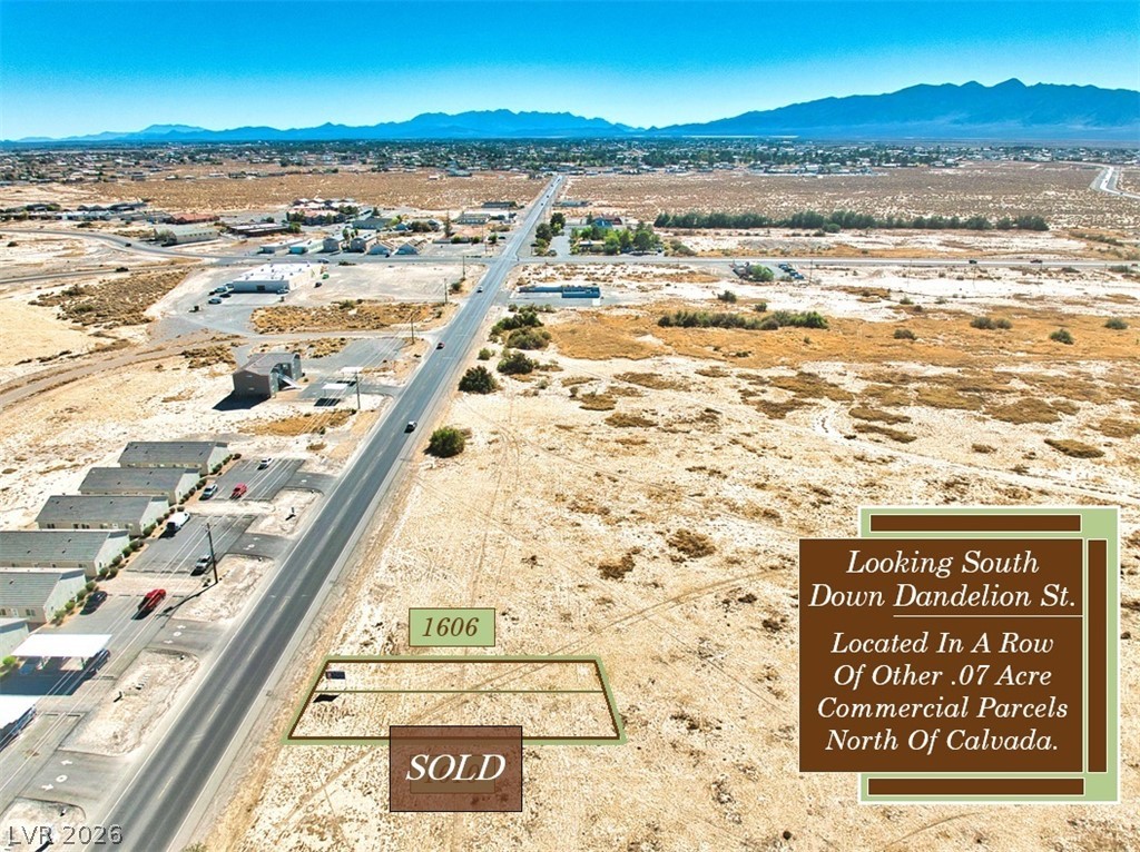 1606 South Dandelion Street Pahrump NV 89048