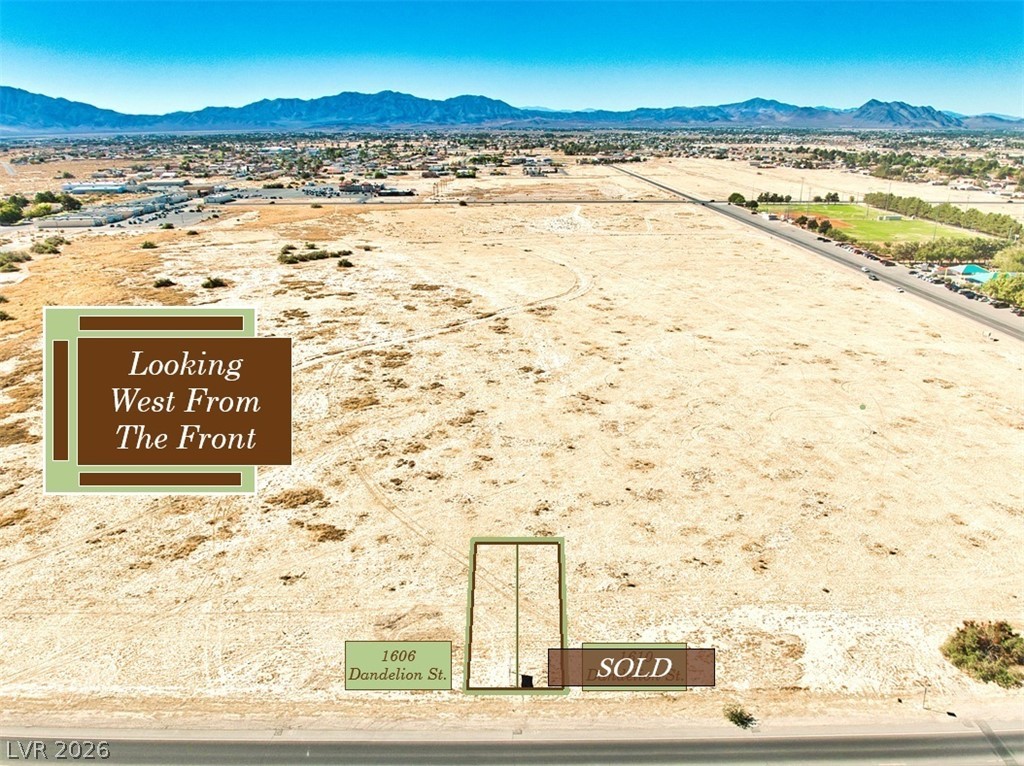 1606 South Dandelion Street Pahrump NV 89048