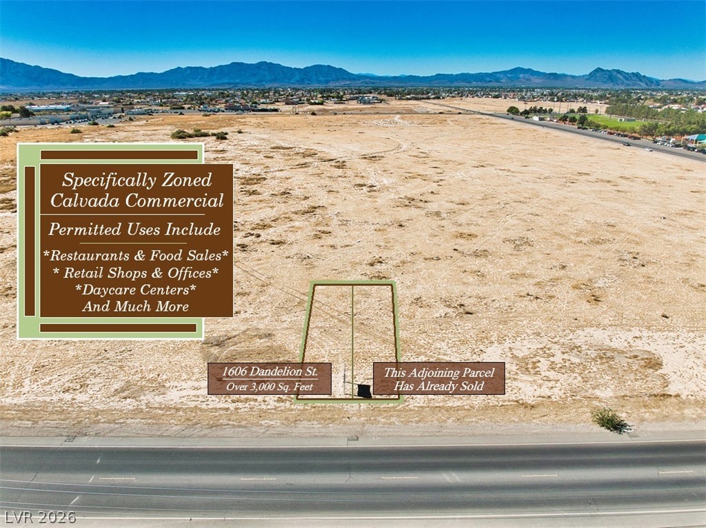 1606 South Dandelion Street Pahrump NV 89048