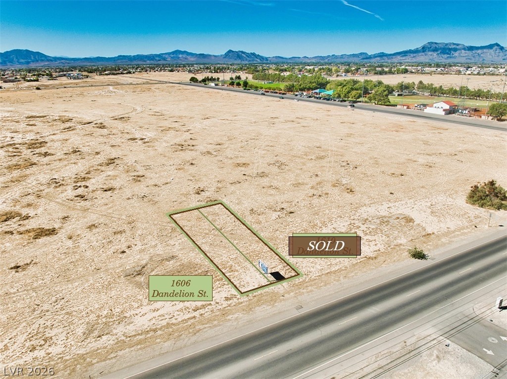 1606 South Dandelion Street Pahrump NV 89048