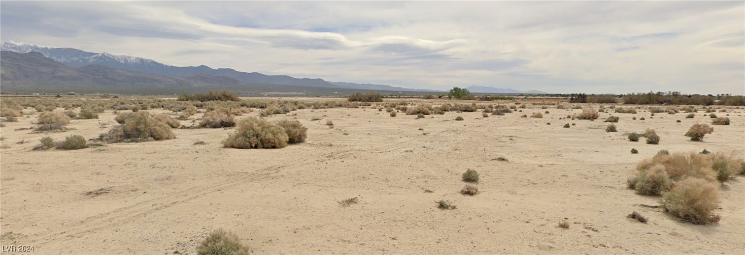 4131 South Dice Avenue Pahrump NV 89048