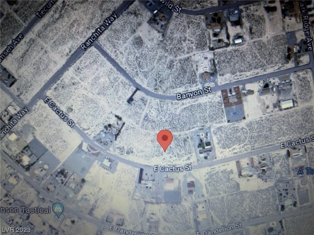 2230 East Cactus Street Pahrump NV 89048