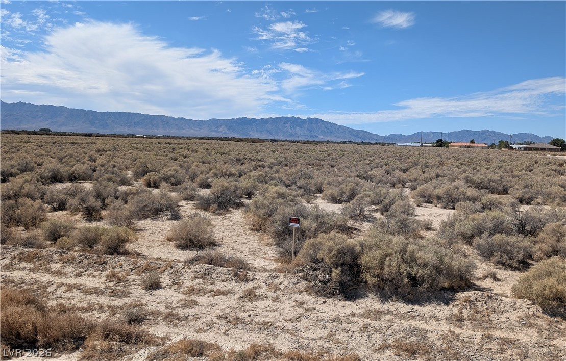 3950 South Kid Avenue Pahrump NV 89048