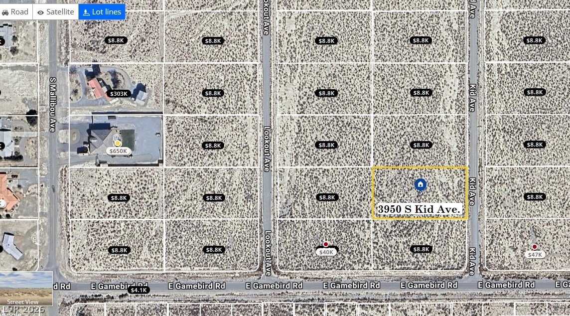 3950 South Kid Avenue Pahrump NV 89048