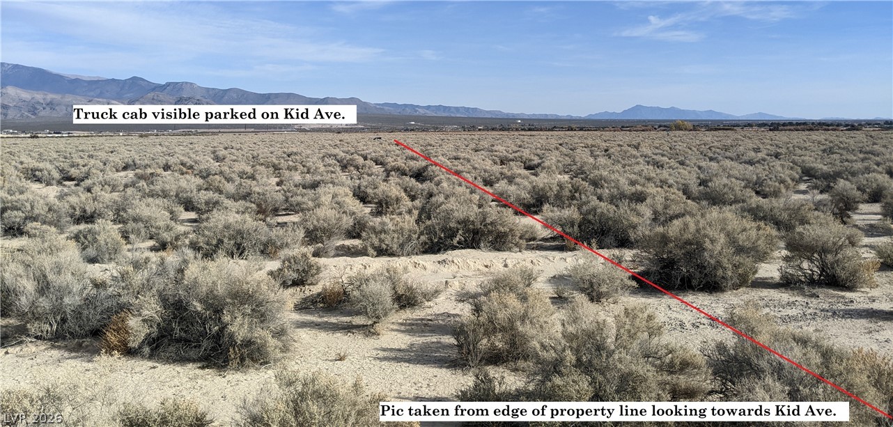 3950 South Kid Avenue Pahrump NV 89048