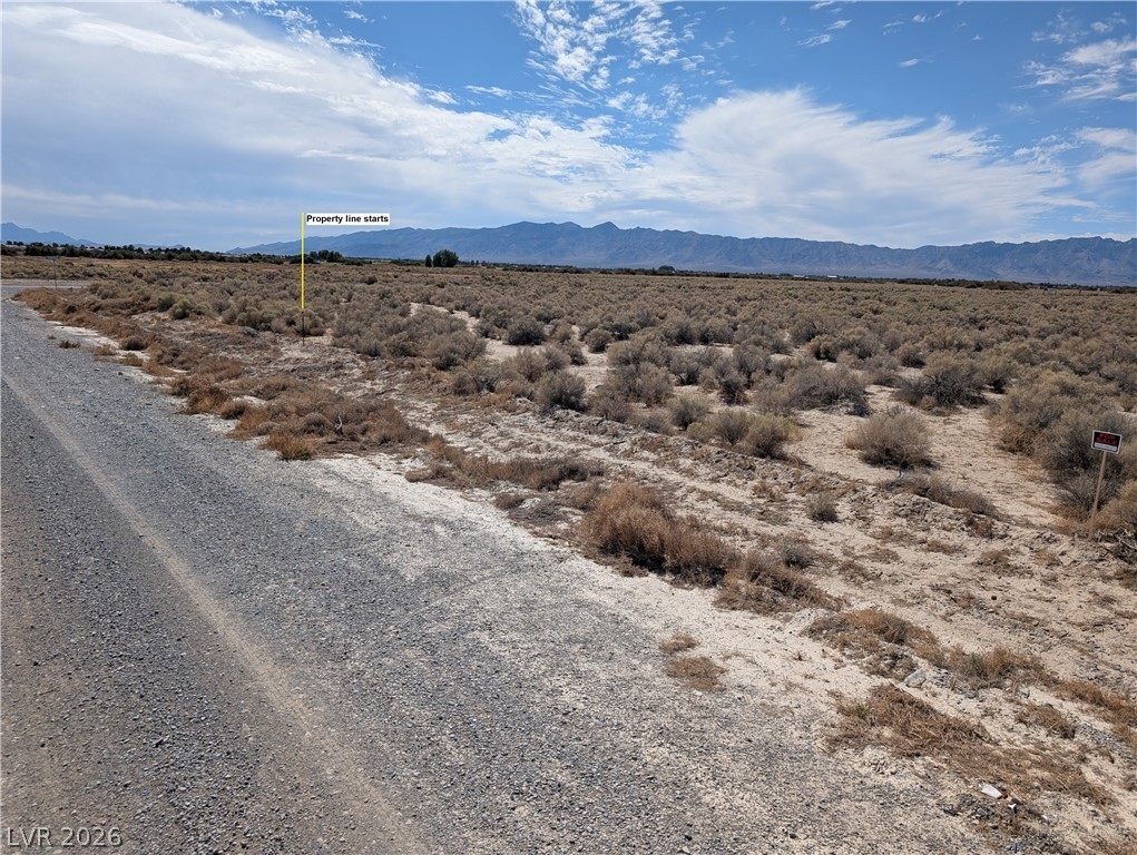 3950 South Kid Avenue Pahrump NV 89048