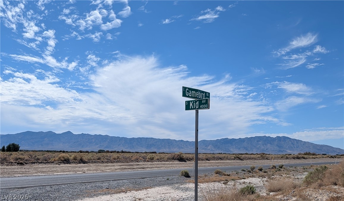3950 South Kid Avenue Pahrump NV 89048