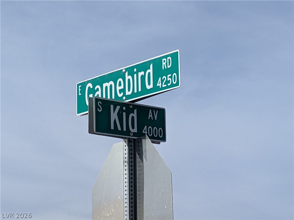 3950 South Kid Avenue Pahrump NV 89048