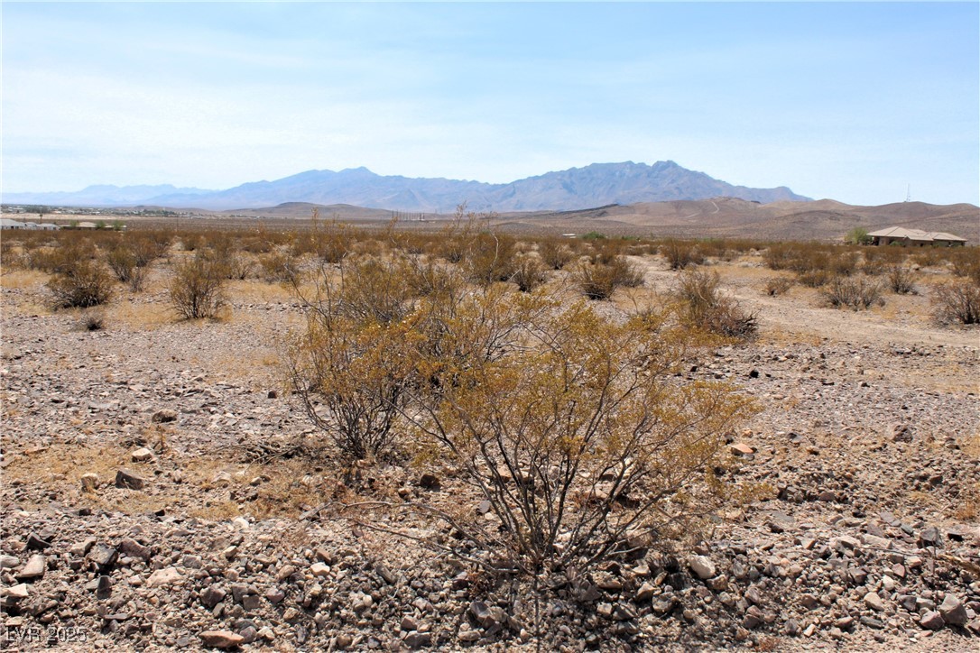 5561 West Betty Avenue Pahrump NV 89060