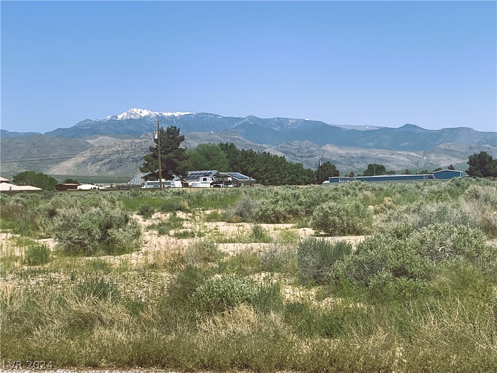 3861 South Cathi Avenue Pahrump NV 89048