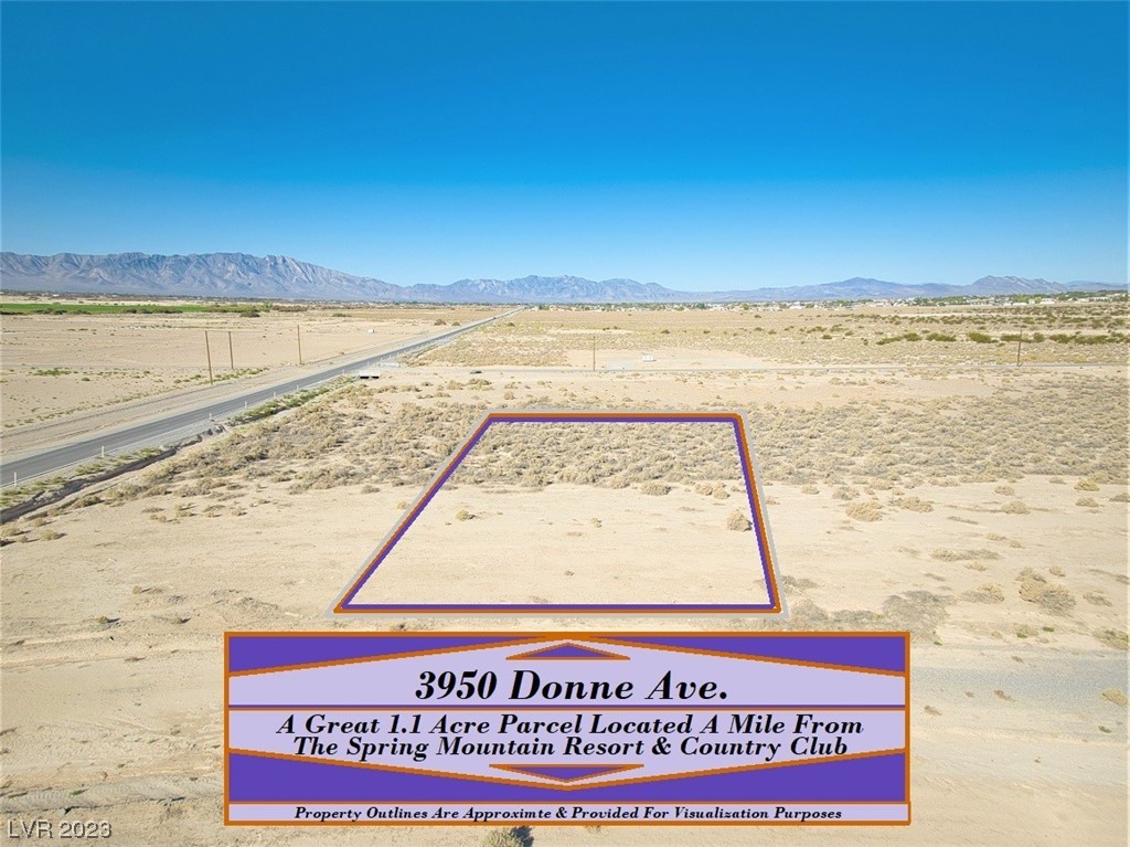 3950 South Donne Avenue Pahrump NV 89048