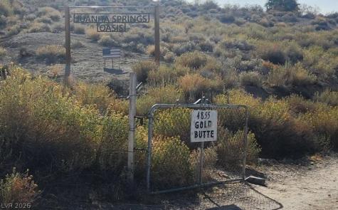 Gold Butte Road Other NV 89007