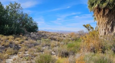 Gold Butte Road Other NV 89007