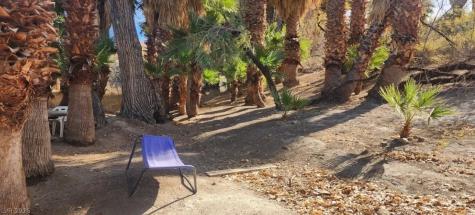 Gold Butte Road Other NV 89007