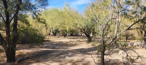 Gold Butte Road Other NV 89007