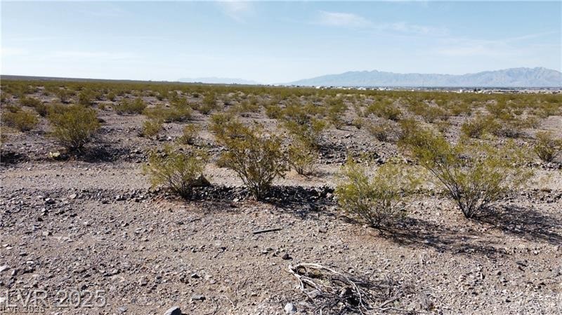 1331 East Saguaro Drive Pahrump NV 89060