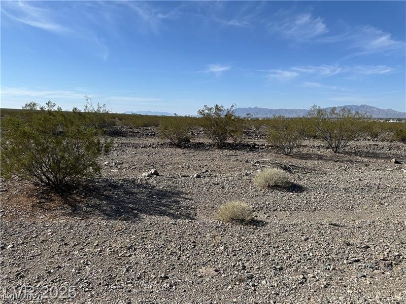 1331 East Saguaro Drive Pahrump NV 89060