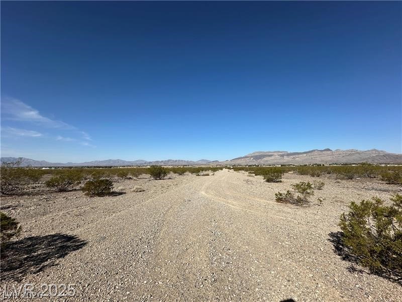 1331 East Saguaro Drive Pahrump NV 89060