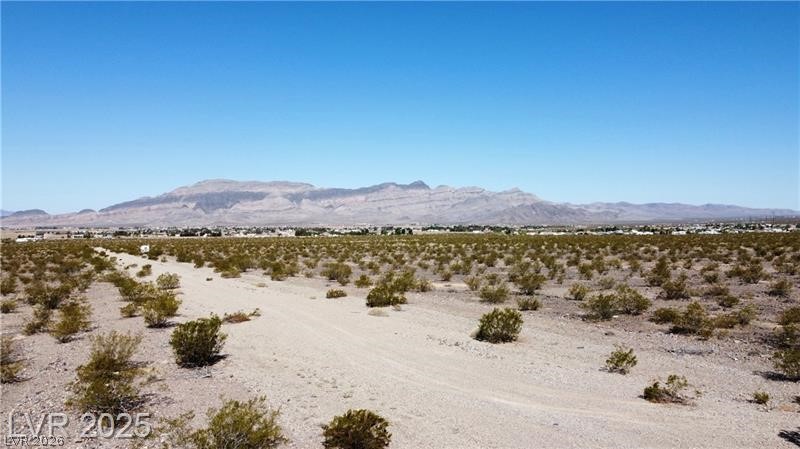 1331 East Saguaro Drive Pahrump NV 89060