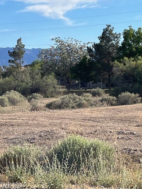 2221 South Manzanita Drive Pahrump NV 89048