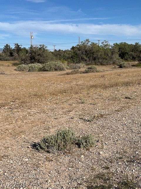 2221 South Manzanita Drive Pahrump NV 89048