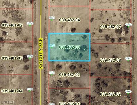 1081 South Ogden Avenue Pahrump NV 89048