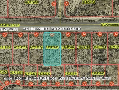 4471 East Gamebird Road Pahrump NV 89061