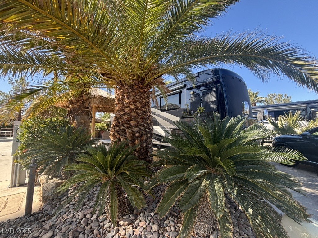 8175 Arville Street 378 Las Vegas NV 89139