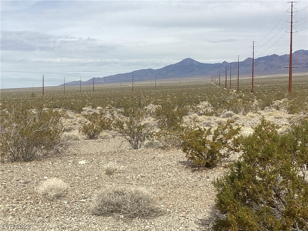 2960 East Gorgono Drive Pahrump NV 89060