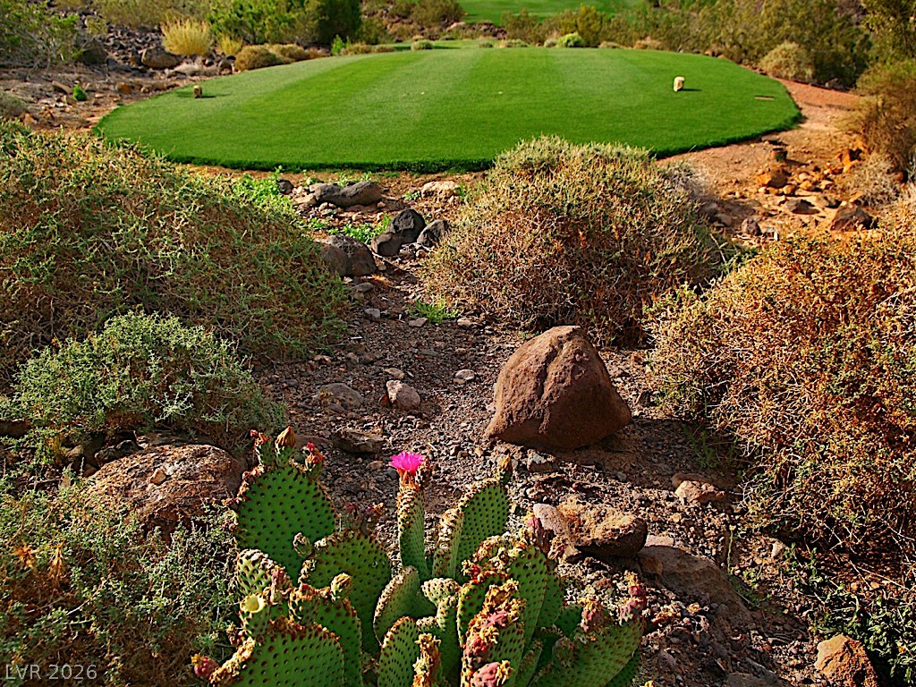 491 Rock Peak Drive Henderson NV 89012